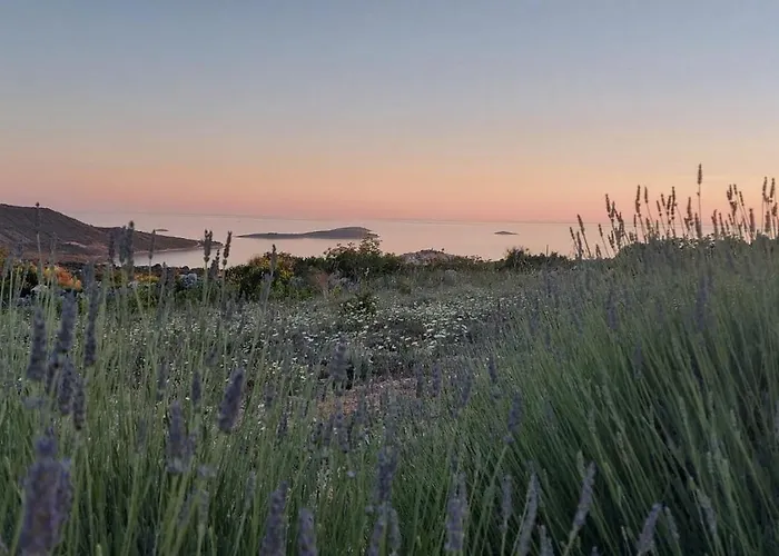 Vakantiehuis Robinzonski Turizam 
